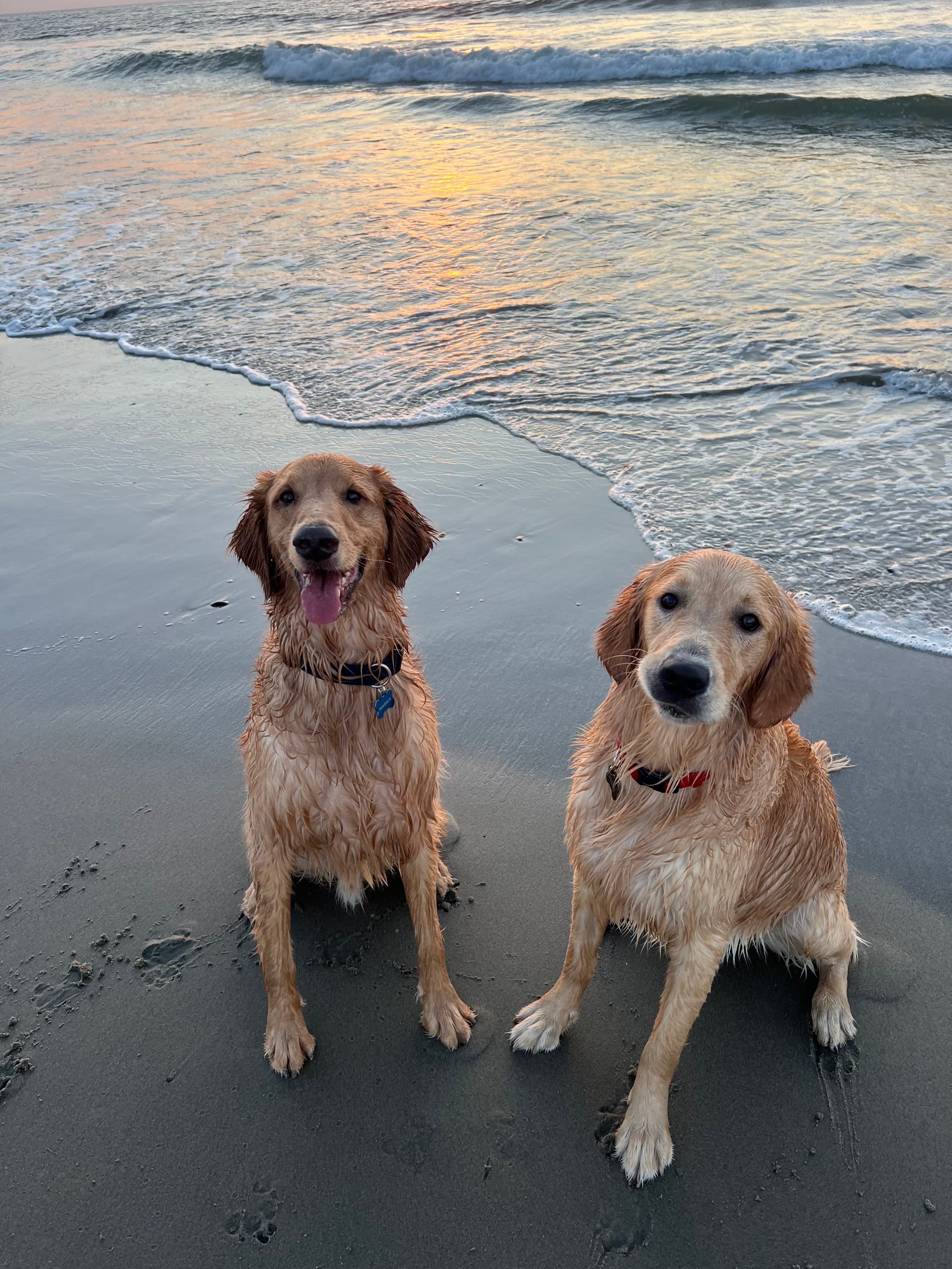 Maverick + Bodhi
